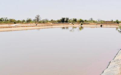 TRAITEMENT ET VALORISATION DES BOUES DE VIDANGE  La Sierra Léone s’inspire des bonnes pratiques du Sénégal  