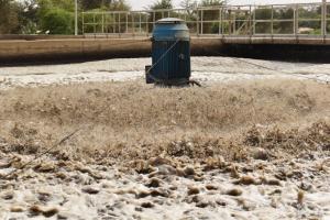 Forum Mondial de l'Eau : Une plate forme unique pour la communauté de l'eau et les décideurs