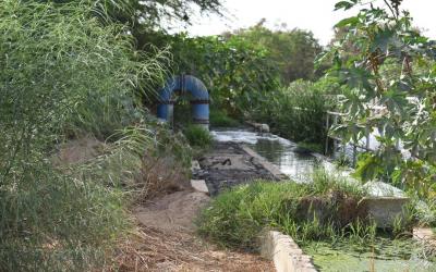 ASSAINISSEMENT VERS LA DÉPOLLUTION DU BASSIN DE DALIFORT, 