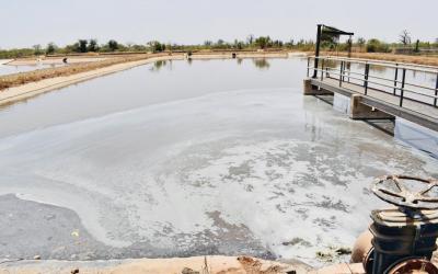 Cadre de vie : Le bassin de Dalifort, un nouveau danger pour des riverains